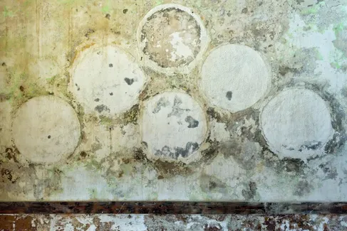 A damp wall with circular patches of paint or plaster removed, revealing a different color underneath.